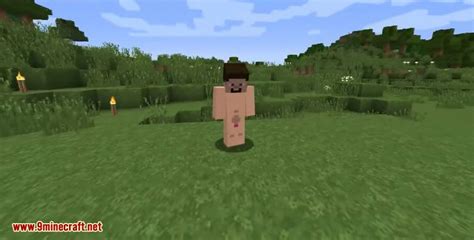 NSFW Witch Skins in Minecraft: Customizing the Mature Experience